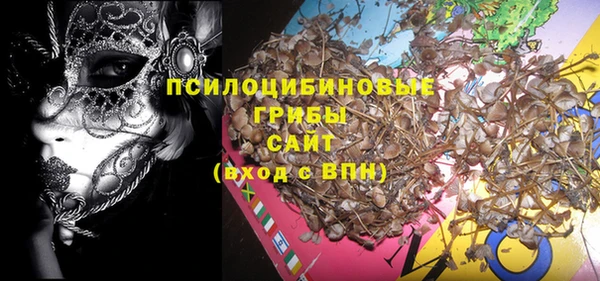 тгк Кукмор