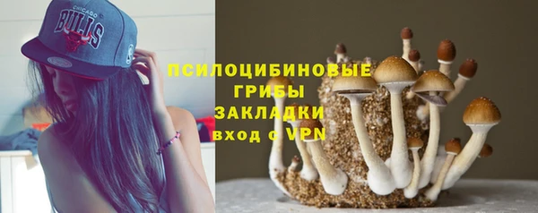 дмт Краснотурьинск