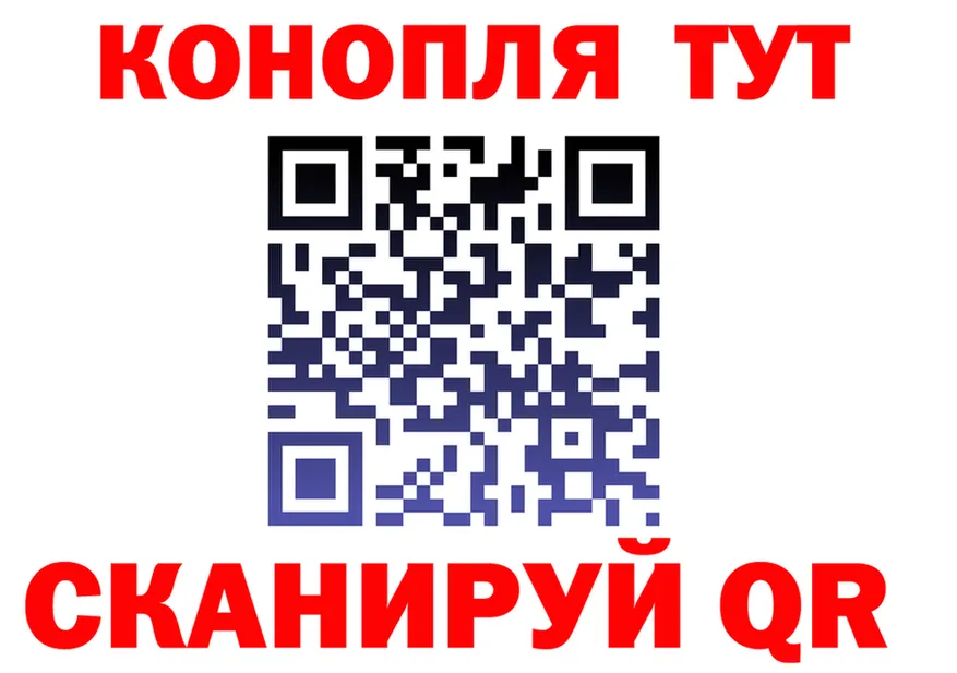 АМФ VHQ вход площадка OMG Кедровый